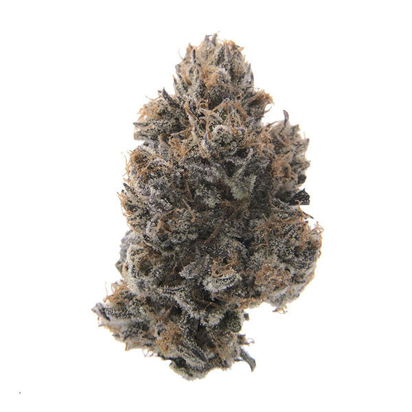 Flower Purple Jelly