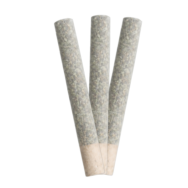 El Chapo - Pre-rolls