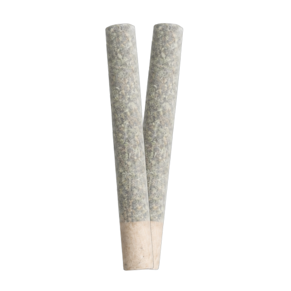 Fort 20 Fuel - El Chapo - Pre-Rolls